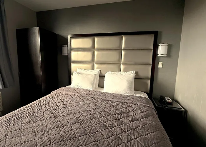 Umbrella Hotel Bronx